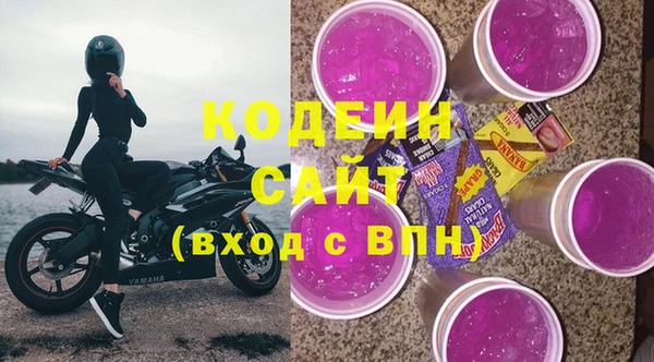 индика Верхний Тагил