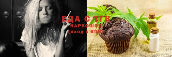 индика Верхний Тагил