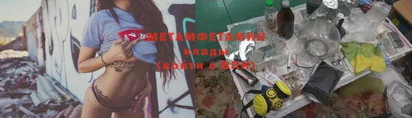 индика Верхний Тагил