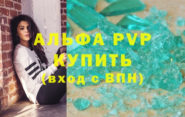 спиды Верея