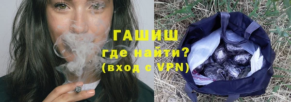 индика Верхний Тагил