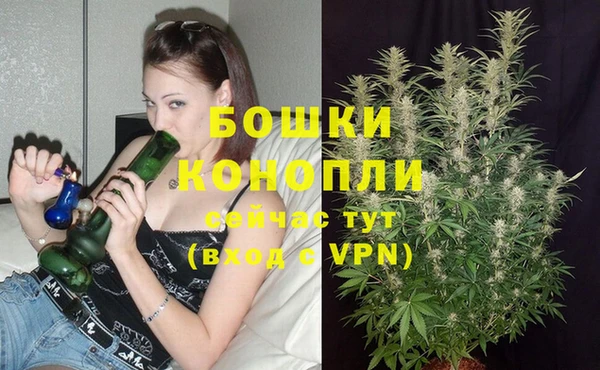 индика Верхний Тагил