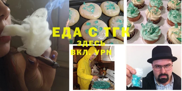 индика Верхний Тагил