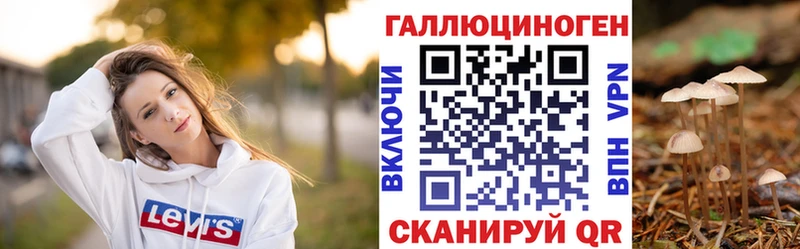 Купить где  Мамадыш  Псилоцибиновые грибы мухоморы 